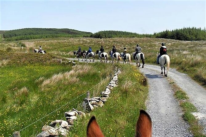 Horse Riding - Dirt Trek Trail. Lisdoonvarna, Clare. Guided. 1 Hour. - Last Words