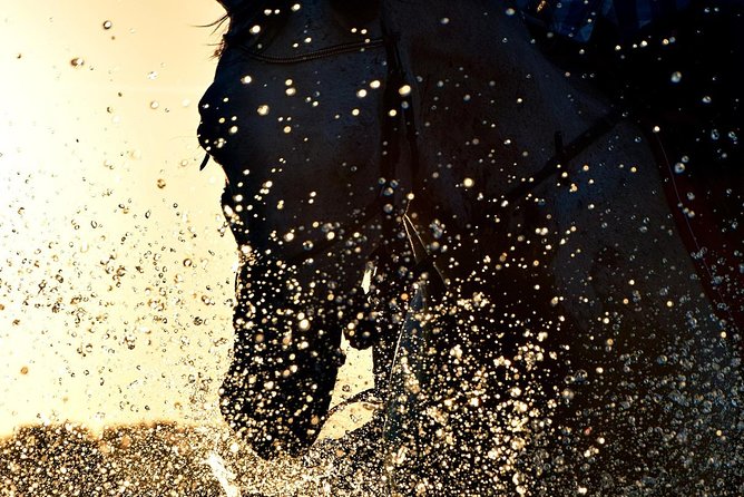 Horse Riding on the Beach, Rhodes - Contact and Additional Information