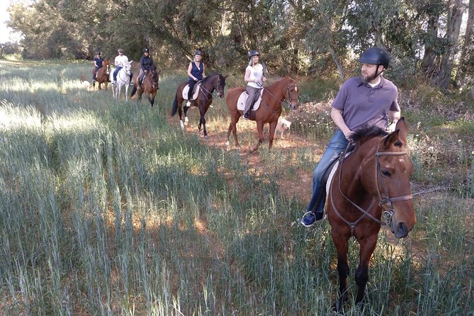 Horse-Riding Tour From Seville (Mar ) - Terms & Conditions