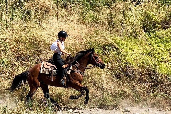 Horse Riding Tour, Naples - Directions and Meeting Point