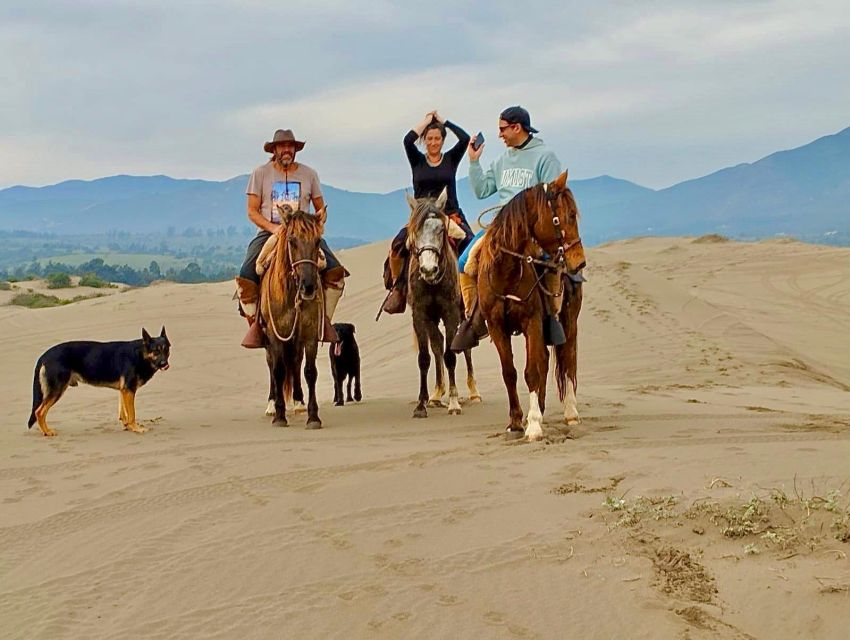 Horseback Riding, Penguins, Winery, Alpacas & Cowboy BBQ - Directions