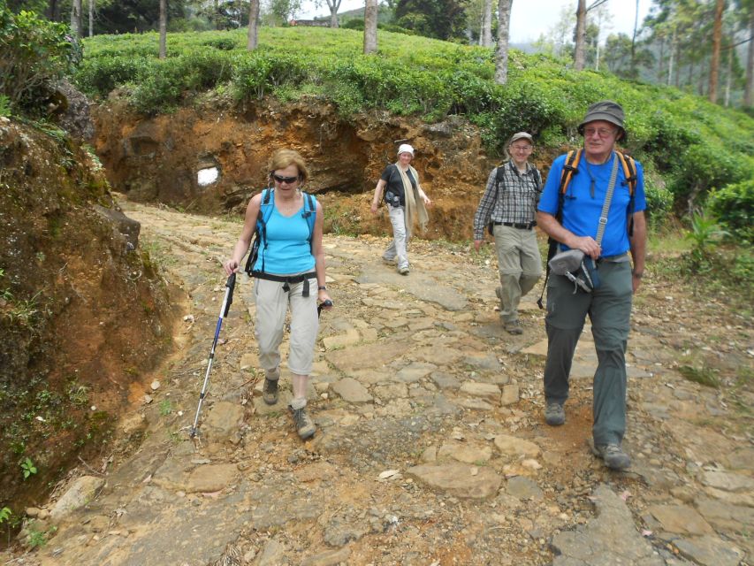 Horton Plains: Pekoe Trail Stage 11 Hiking Trip to Udaweriya - Common questions