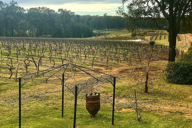 Hunter Valley Wine Tasting Lunch Guided Day Tour - Contact and Support