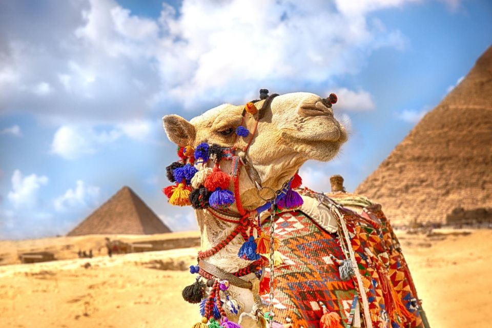 Hurghada: Camel Ride Along Pyramids of Giza & Cairo Museum - Pickup and Drop-off