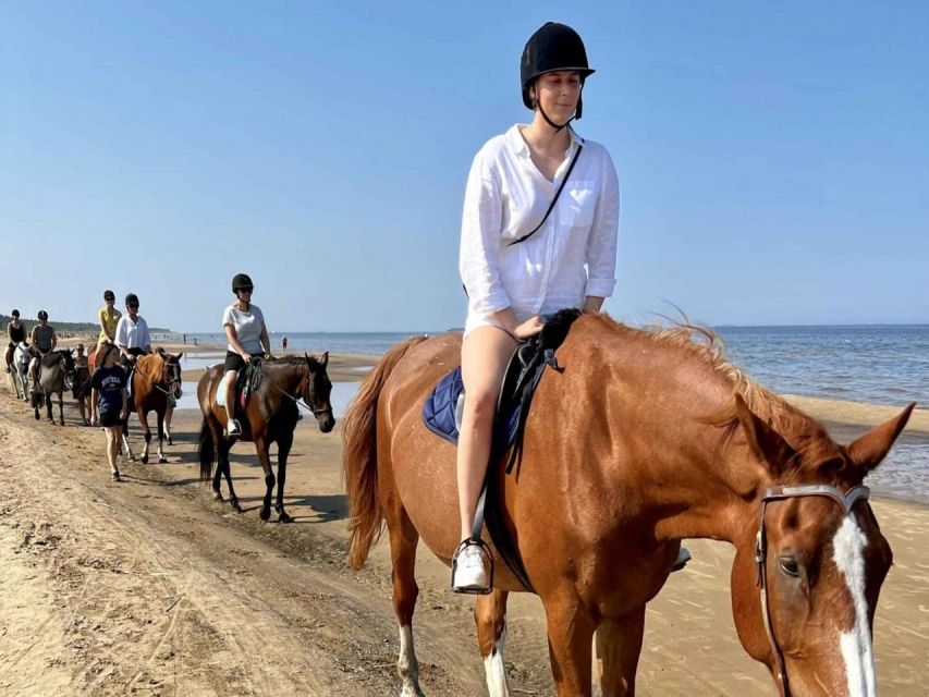Hurghada: Desert and Sea Horseback Riding Tour With Transfer - Language Options