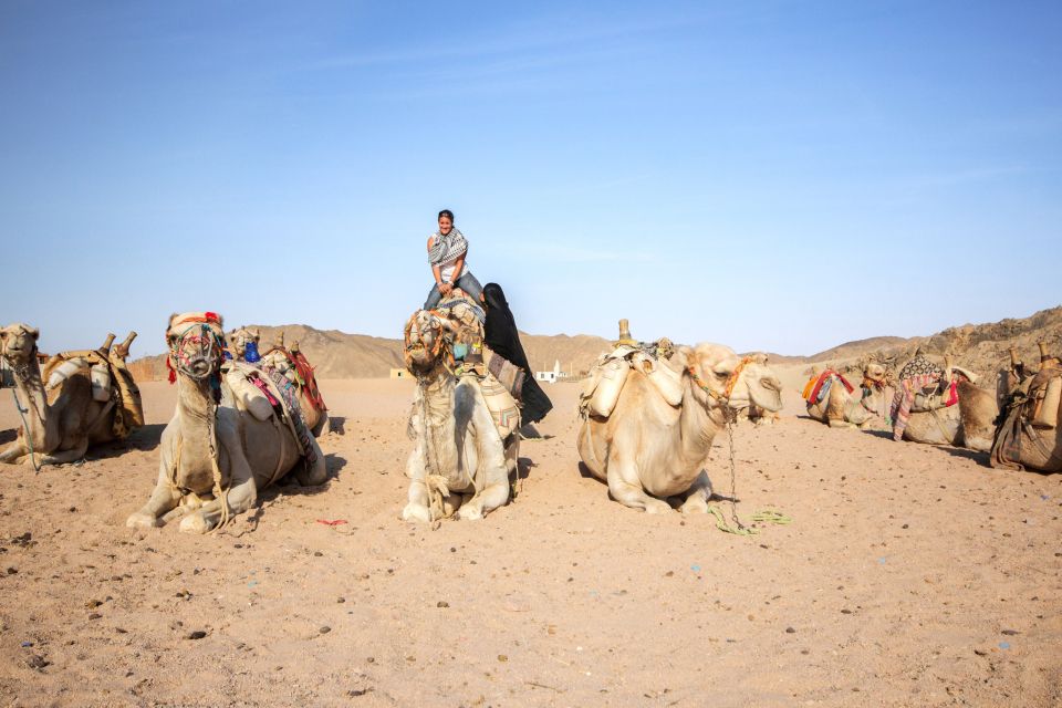 Hurghada: Desert Quad Bike Camel Ride With Optional Gopro - Booking Flexibility