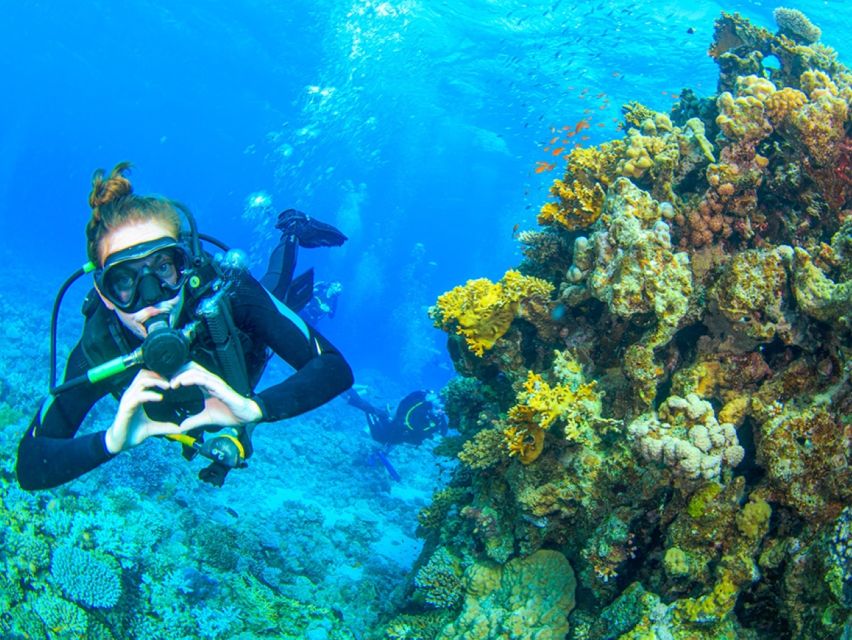 Hurghada: Diving & Snorkeling Cruise Tour W Lunch & Drinks - Common questions