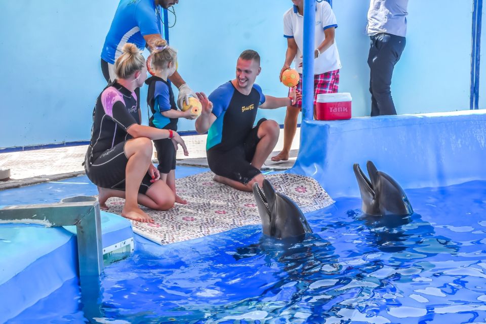 Hurghada: Dolphin World Private Swimming With Transfers - Common questions