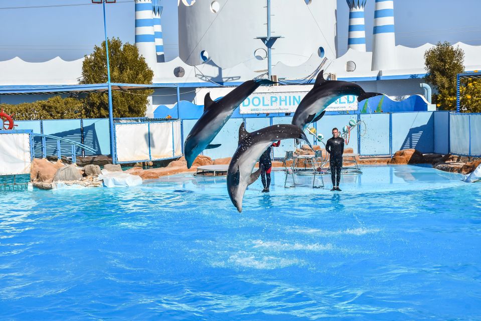 Hurghada: Dolphin World Show With Walruses and Pickup - Common questions