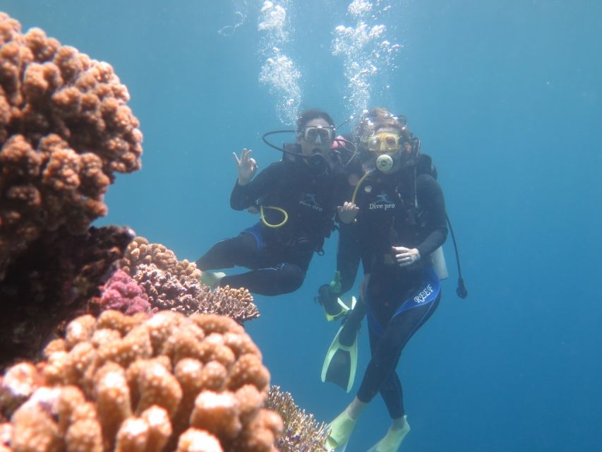 Hurghada: Full-Day Scuba Diving Discovery - Safety Precautions