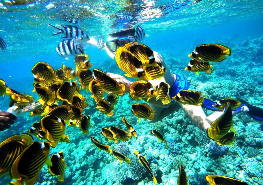 Hurghada: Full-Day Snorkling Trip to Super Utopia - Snorkeling Stops and Lunch
