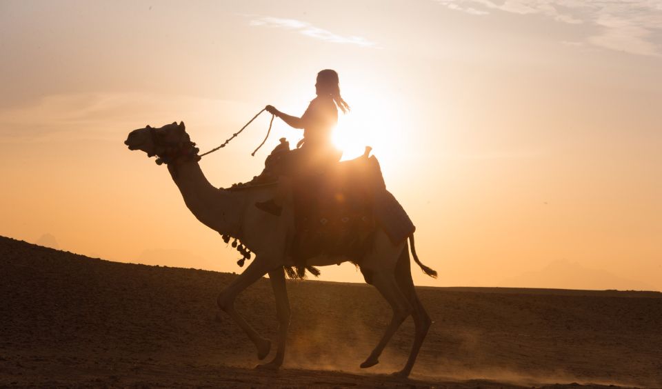 Hurghada: Quad Safari, Camel, Horse Ride With Dinner & Shows - Common questions