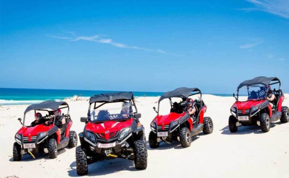 Hurghada: Sea and Mountains Quad or Buggy Family Tour - Common questions