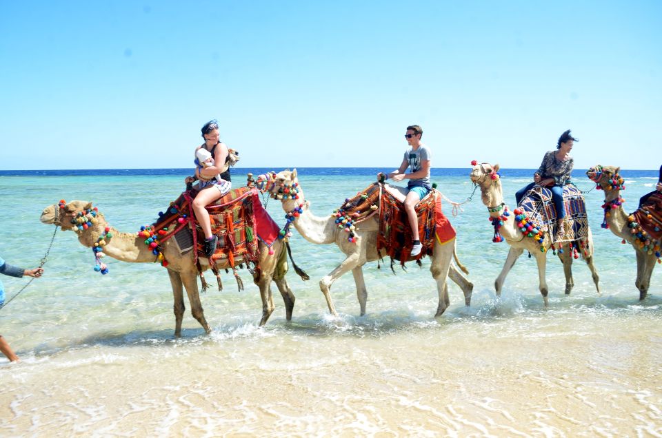 Hurghada: Sea & Desert Camel Ride W/Dinner, Show, Stargazing - Directions