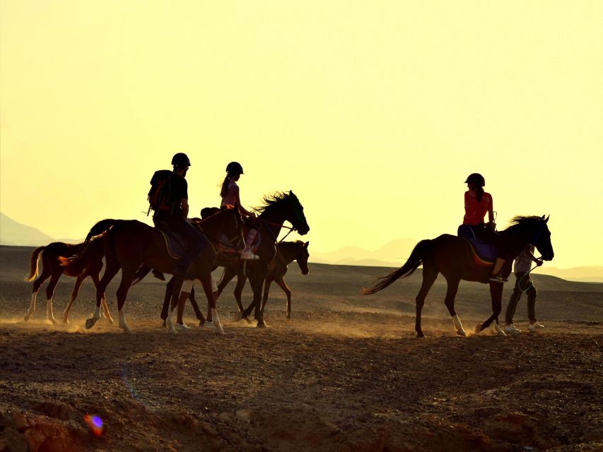 Hurghada: Sea & Desert Horse Tour, Stargazing, Dinner & Show - Additional Features