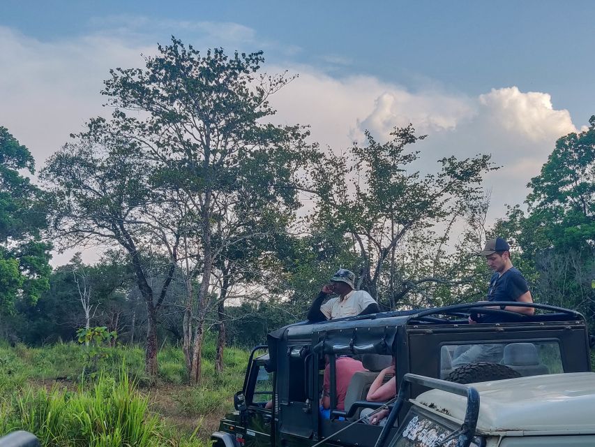 Hurulu Eco Park: 3-Hour Morning or Evening Safari - Additional Tips and Recommendations
