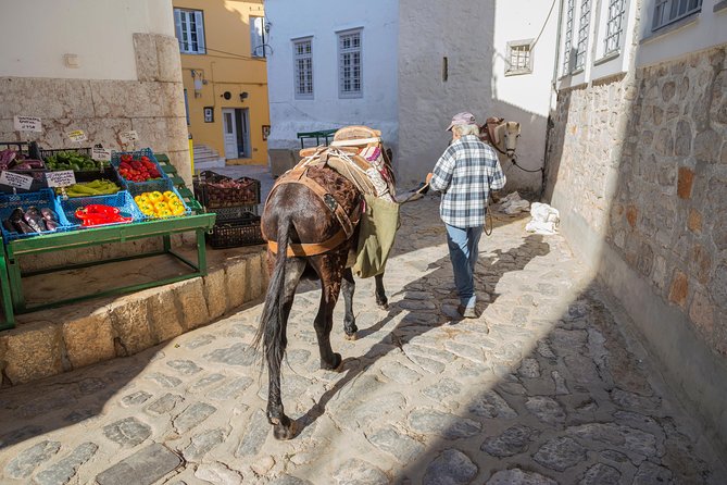 Hydra, Poros and Egina Day Cruise From Athens With Optional VIP Upgrade - The Wrap Up