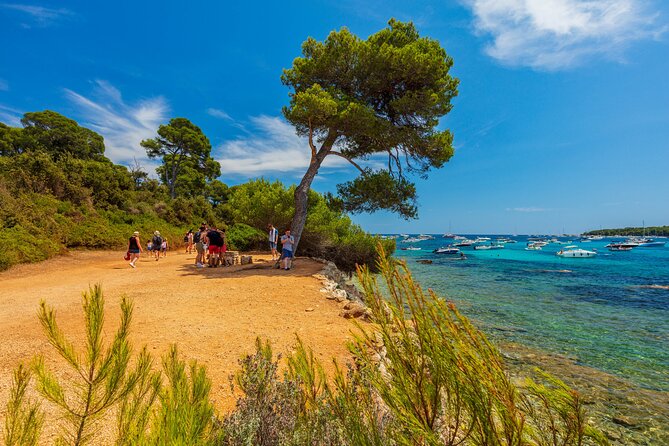 Ile Sainte-Marguerite From Cannes: Self-Guided Tour and Ferry (Mar ) - Fort Royal and History