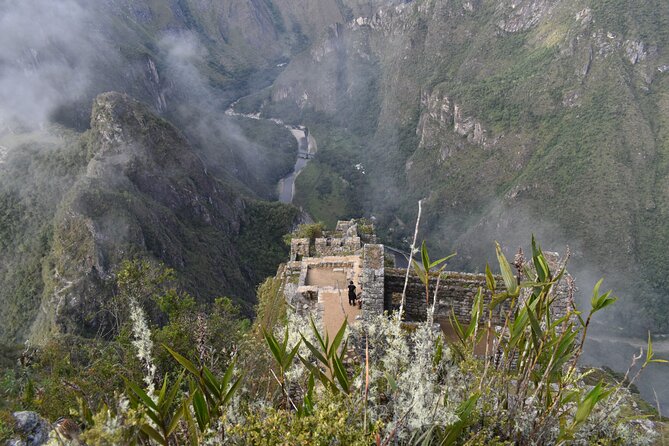 Inca Jungle Trail to Machupicchu by Lorenzo Expeditions - Last Words