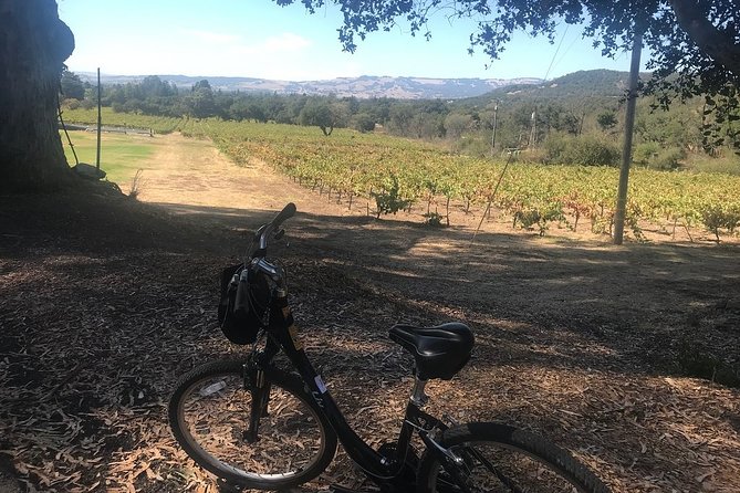 Independent Hassle-free Bike Rental in Sonoma - Pricing and Terms & Conditions