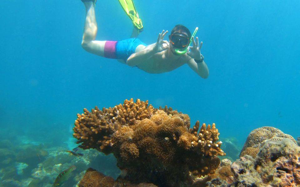 Island Hopping and Snorkeling Plankton Tour by Speedboat - Location and Reviews