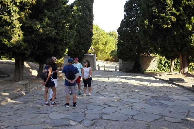 Italica 2-Hour Private Guided Tour From Seville - Itinerary and Meeting Point Details