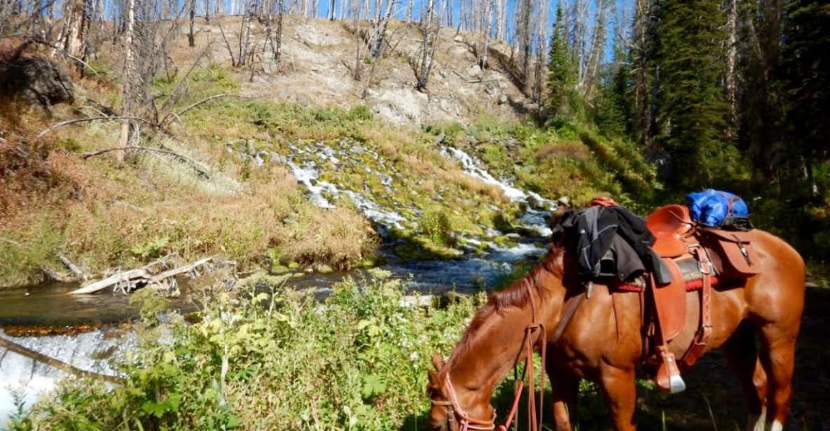 Jackson Hole: Dinner Cookout & Bridger-Teton Horseback Ride - Enjoy a Cookout With Grand Teton Views