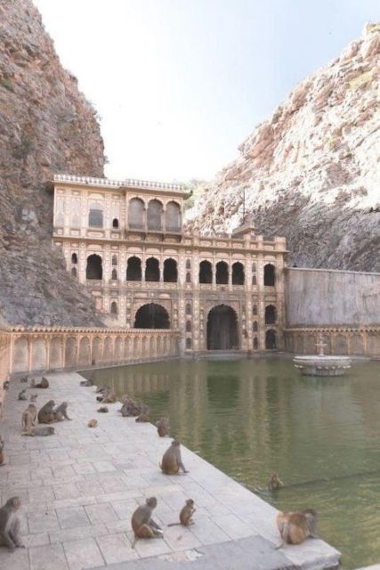 Jaipur Sightseeing Tour With Monkey Temple (Galta Ji Temple) - Customer Reviews