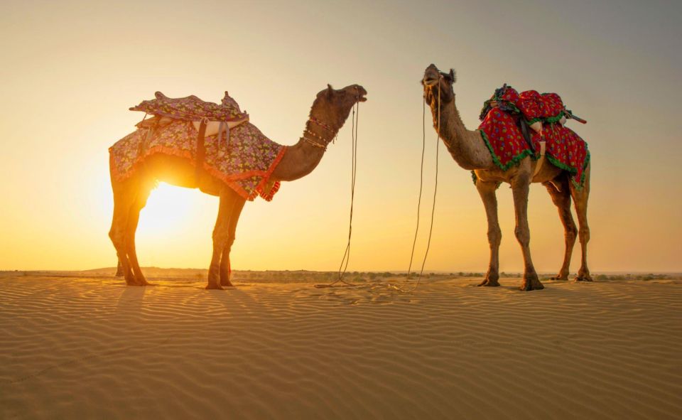 Jaisalmer: 2 Days Adventure in the Thar Desert - Insider Tips