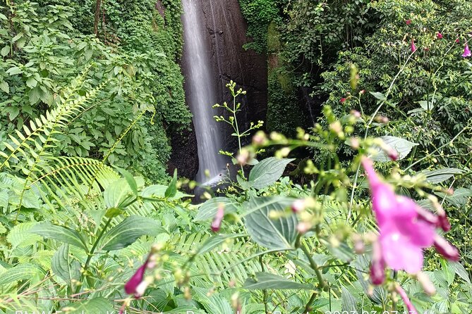 Jakarta Bogor Botanical Garden, Waterfall and Rice Terrace, Lunch - Overall Satisfaction