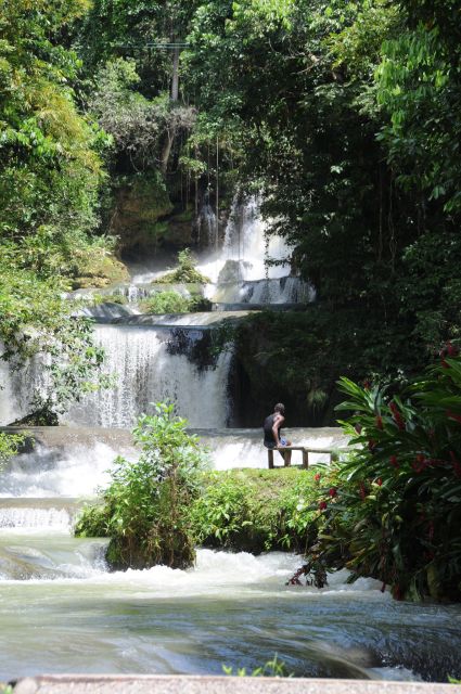 Jamaica: YS Falls and Black River Safari Day Tour - Common questions