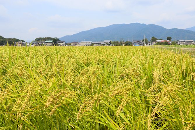 Japans Rural Life & Nature: Private Half Day Cycling Near Kyoto - Last Words