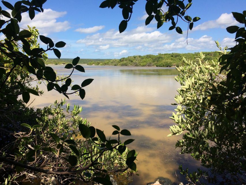 Jaragua National Park: Explore Laguna De Oviedo - Booking Details for the Tour