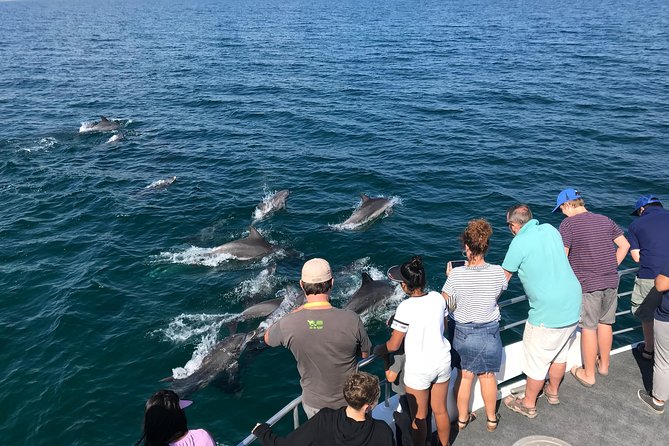 Jervis Bay Dolphin Cruise - Last Words