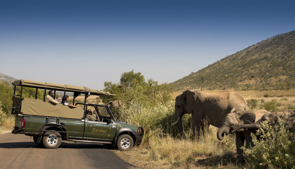 Johannesburg: 2-Day 4-Star Pilanesberg Safari - Lodge Activities and Amenities