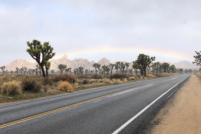 Joshua Tree National Park Scenic Tour - Geology and Flora Exploration