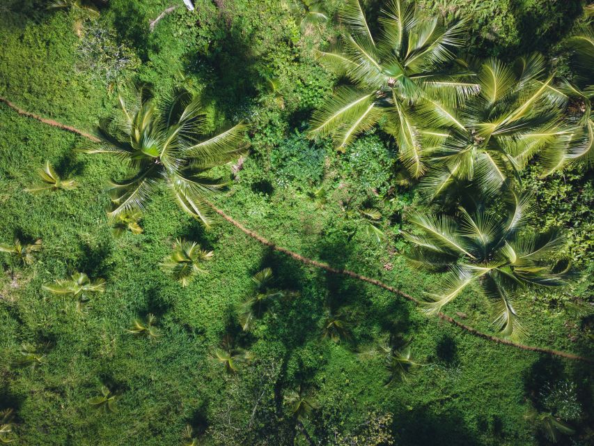 Juan Dolio: Los Haitises Guided Hike and Kayaking - Common questions