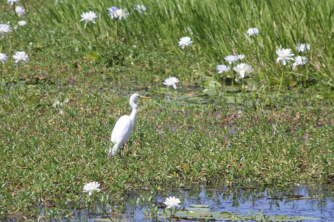 Jumping Crocs & Nature Adventure Cruise From Darwin - Last Words