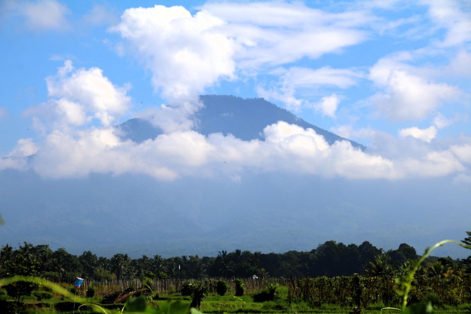 Jungle Trekking at Mt. Batukaru, Scenic Waterfall & Village - Common questions