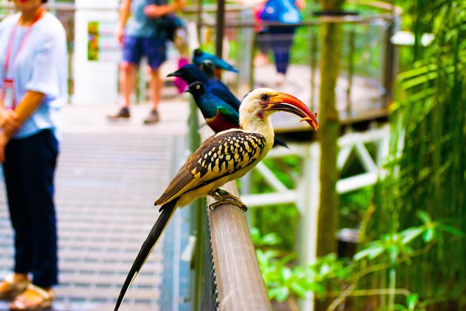 Jurong Bird Park Bird Photography - Cancellation Policy Information