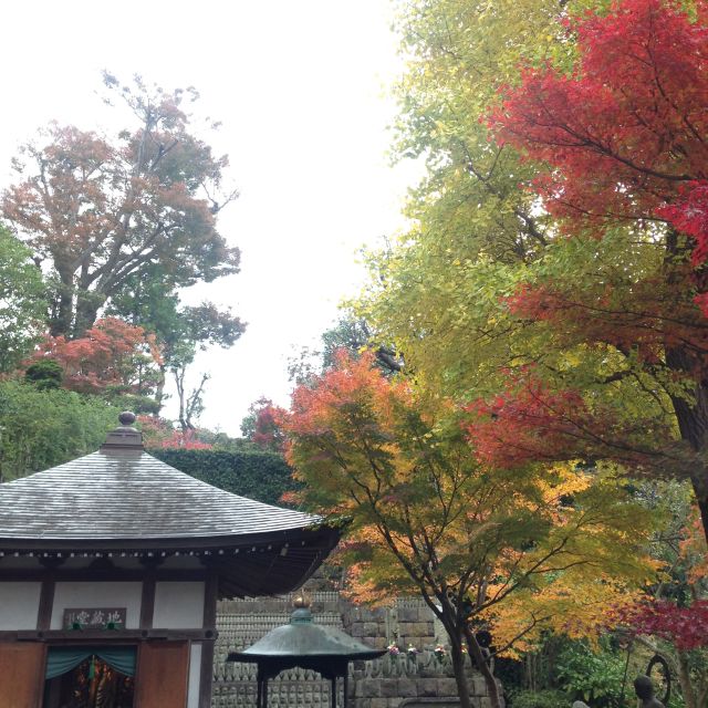 Kamakura: Great Buddha, Hase Temple, & Komachi Street Tour - Directions