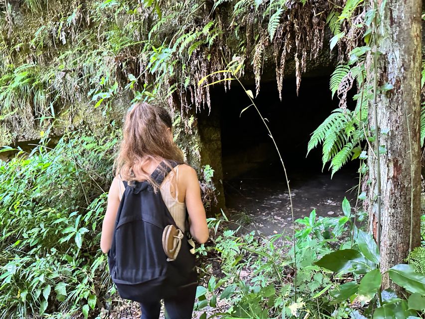 Kamakura Hidden Hike - Last Words