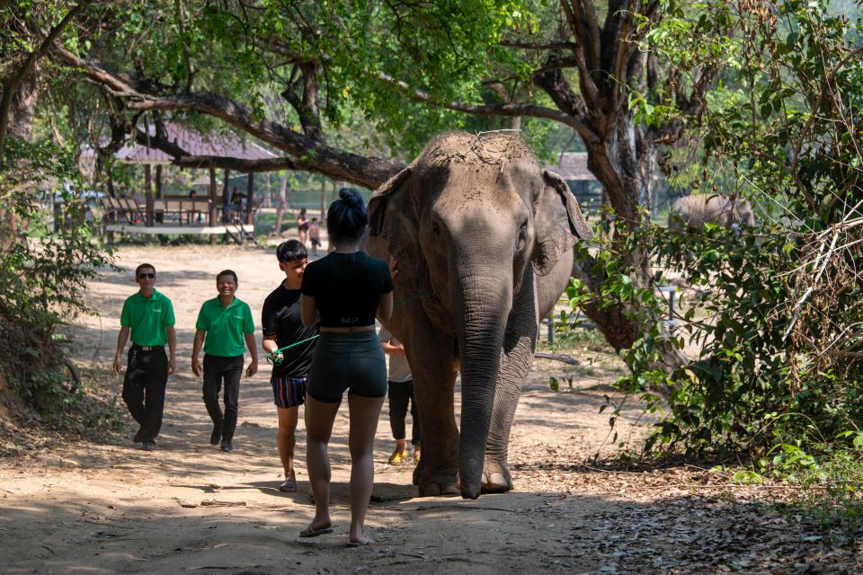 Kanchanaburi: Elephant Sanctuary & Erawan Waterfall Tour - Customer Reviews & Booking Options