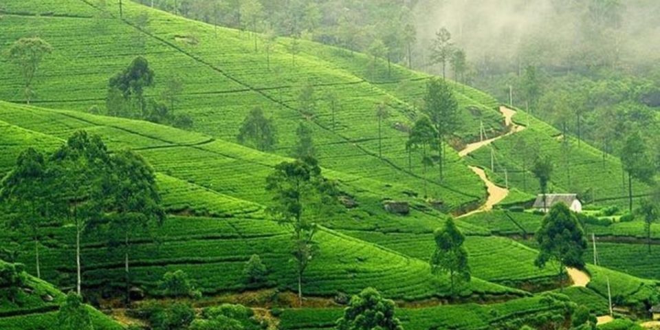 Kandy & Nuwara Eliya: 2-Day Tour! - Location Details