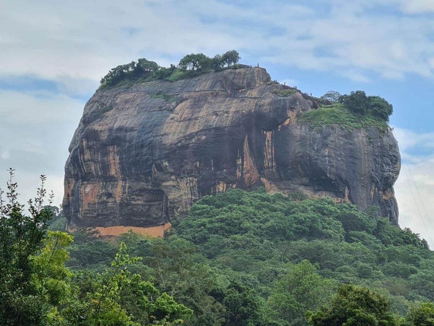 Kandy to Sigiriya Dambulla & Minneriya Park Safari Day Tour - Dambulla Cave Temple Exploration