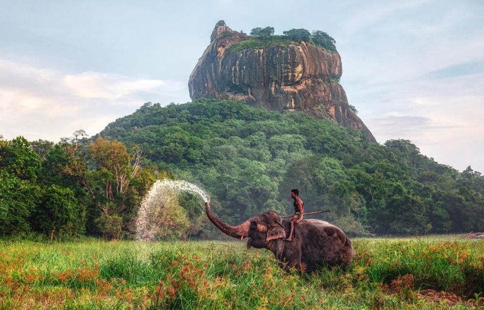 Kandy to Sigiriya Day Trip With Recommended Guide - Dambulla Cave Temple Highlights