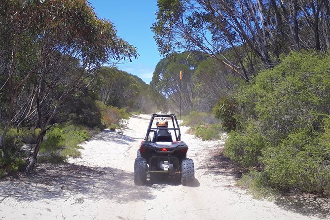 Kangaroo Island Quad Bike (ATV) Tours - Terrain Suitability
