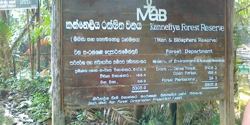 Kanneliya Forest Discovery: Guided Nature Expedition" - Additional Information for Participants