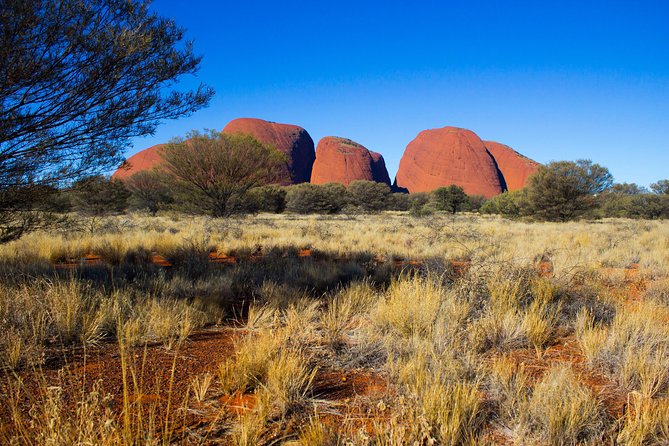 Kata Tjuta Sunrise and Valley of the Winds Half-Day Trip - Additional Information