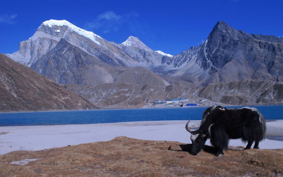 Kathmandu: 11-Day Gokyo Lake Trek - Expert Guided Tours